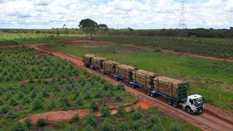 Paulo Duarte quer restrição de tráfego de tritrens à noite e aos finais de semana na MS-450