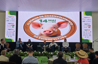 Leitão Vida repassou R$ 59 milhões aos produtores de MS