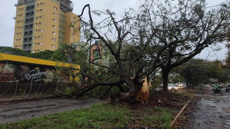 Foto: Redes sociais/Leitores