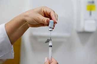 Dengue: Brasil tem, em 6 meses, 6,1 milhões de casos e 4,2 mil mortes
