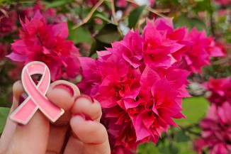 ALEMS fortalece atenção à saúde das mulheres