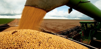 Colheita da soja em Mato Grosso do Sul atinge 50,5% da área plantada, mas estresse hídrico afeta 47% das lavouras