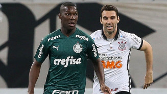 Foto: Cesar Greco/ S.E. Palmeiras