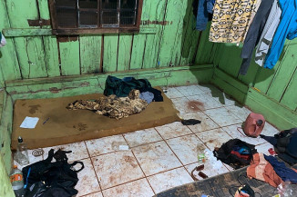 Trabalhadores Indígenas de MS: Resistência e Desafios em Números no Dia do Trabalhador