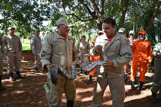 Bombeiros aprimoram técnicas para resgate de animais silvestres em MS