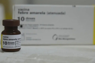 MS completa 10 anos sem casos de febre amarela humana e mantém alerta com vacinação