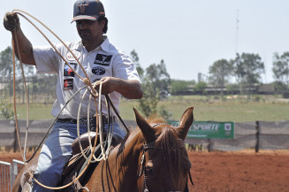 Projeto de lei institui Dia Estadual dos Esportes Equestres