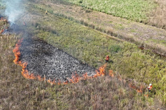 MS registra até mil incêndios no mês mais crítico e reforça alerta