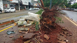 Ventania de até 60 km/h coloca Dourados e outras 19 cidades de MS em alerta nesta segunda-feira
