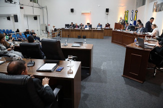 Câmara aprova projeto de lei que pune ‘abandono disfarçado’ de animais com multa de até R$ 6 mil