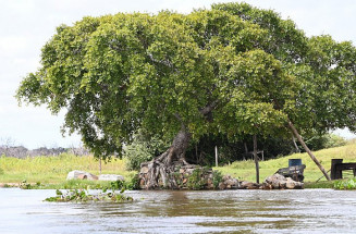 Monitoramento confirma crise hídrica em MS, mas omite o elefante na sala: a expansão desenfreada da soja