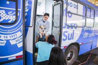 Prefeitura realiza Caravana da Castração entre os dias 3 e 12 de novembro em Dourados