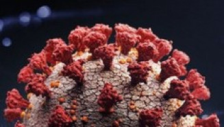 Reinfecção por coronavírus: veja o que se sabe sobre pacientes contaminados pela 2ª vez