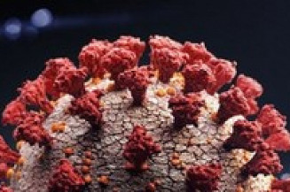 Reinfecção por coronavírus: veja o que se sabe sobre pacientes contaminados pela 2ª vez