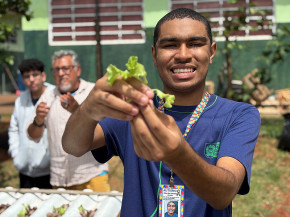Escola pública MS transforma água de ar-condicionado em alfaces sustentáveis em MS