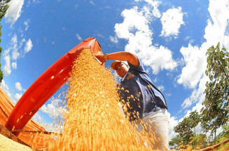 Valor Bruto da Produção Agropecuária de Mato Grosso do Sul cresce 23,6% e atinge R$ 76,3 bilhões