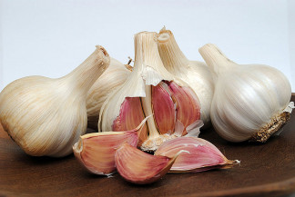 Cultura do alho ganha zoneamento de risco climático