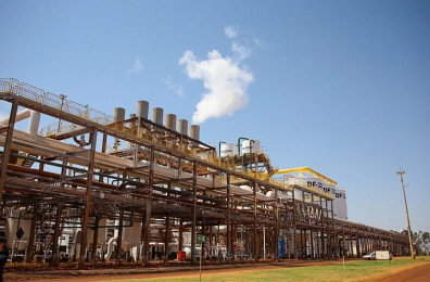 Safra: MS terá 5 bilhões de litros produzidos em 2025/2026