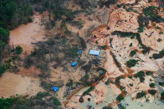 Garimpo na terra indígena Munduruku, no Pará, em maio de 2020. É possível ver a devastação da vegetação e a formação de crateras no local. — Foto: Chico Batata/Greenpeace
