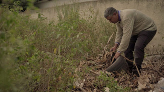 Governo do Estado realiza força-tarefa com Defesa Civil para conter avanço da chikungunya em Dourados