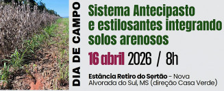 Dia de campo apresenta sistema Antecipasto e uso de estilosantes para integração em solos arenosos