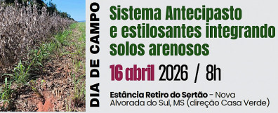 Dia de campo apresenta sistema Antecipasto e uso de estilosantes para integração em solos arenosos