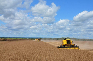 Soja retoma liderança e MS acumula superávit de US$ 1,76 bilhão no 1º trimestre, mas cenário global acende alerta