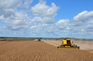 Soja retoma liderança e MS acumula superávit de US$ 1,76 bilhão no 1º trimestre, mas cenário global acende alerta
