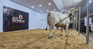 Expogrande 2026 movimenta R$ 854,5 milhões e consolida-se entre as maiores do País