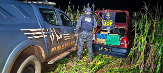 DOF apreende 395 quilos de maconha após perseguição na MS-162 em Maracaju