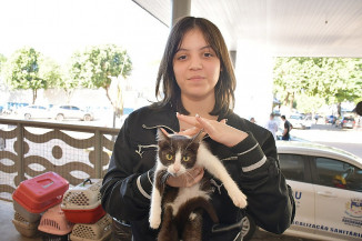 Feira de adoção de animais e campanha solidária marcam encerramento do Junho Violeta em Aquidauana