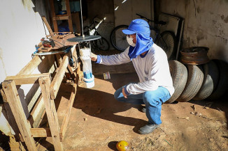 Três Lagoas mantém trabalho permanente de vigilância, prevenção e controle da leishmaniose visceral