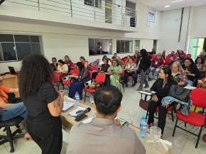 Conselho de Presidentes da FETEMS debate conjuntura, concurso público e calendário de atividades