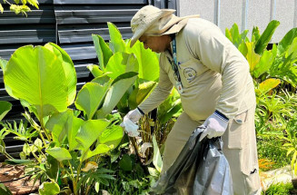 Mato Grosso do Sul registra mais de 10 mil casos de chikungunya e 31 mortes no ano