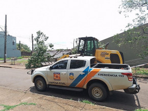Prefeitura de Dourados remove árvores após chuva intensa e ventos de até 80 km/h