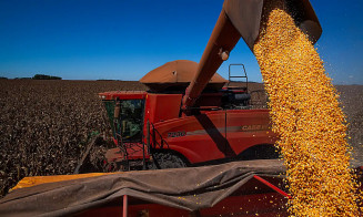 Produção de grãos em 2026 deve atingir recorde de 354,5 milhões de toneladas, prevê IBGE