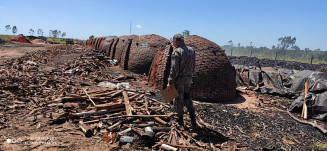 PMA fecha carvoaria que funcionava irregularmente e aplica multa de R$ 4,5 mil